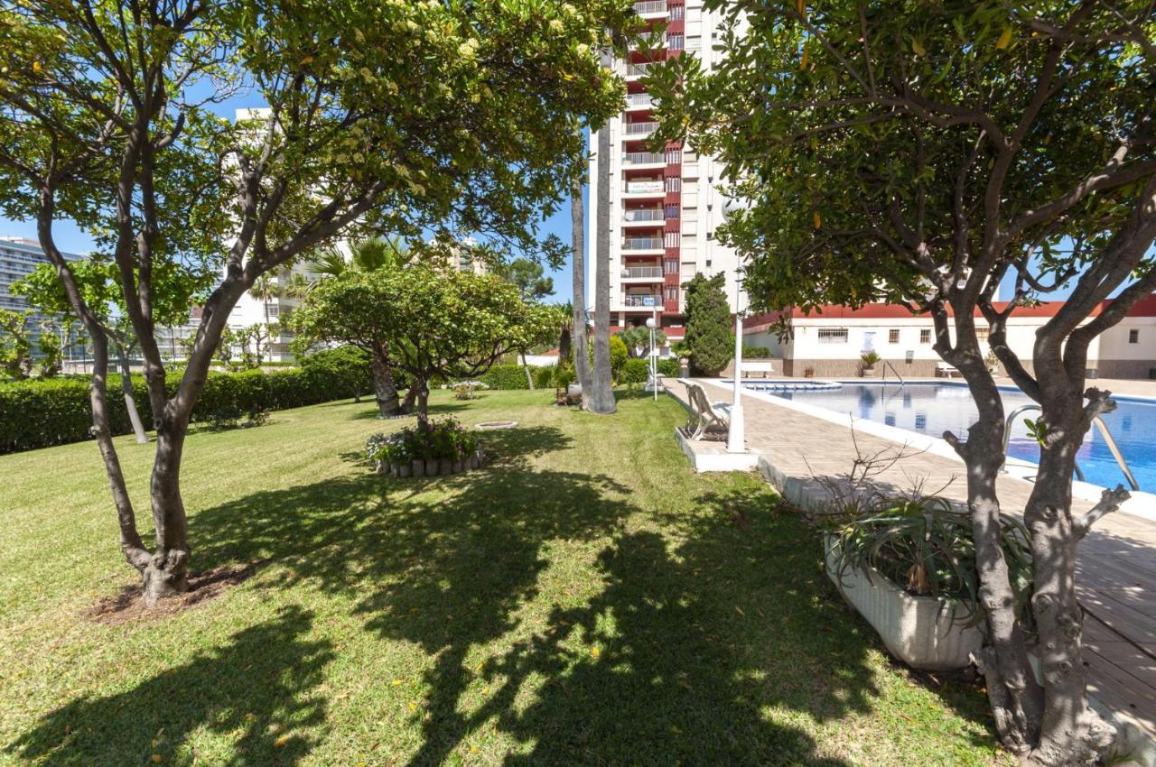 Ag Aquarium Apartment Playa de Gandia Ngoại thất bức ảnh