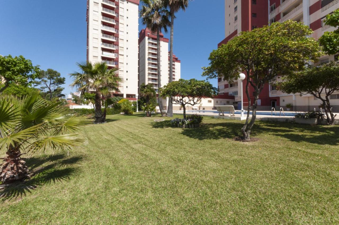 Ag Aquarium Apartment Playa de Gandia Ngoại thất bức ảnh